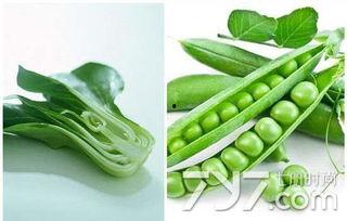 白瓜怎么吃养胃,家常美味助消化