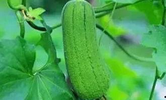 三余吃瓜,揭秘娱乐圈幕后故事