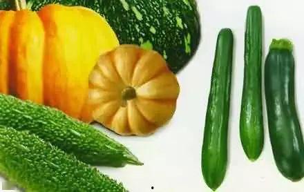 刚才梦见偷瓜吃瓜好不好,偷瓜吃瓜的吉凶预兆