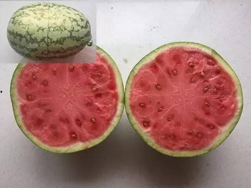 暑假吃的瓜合集,暑假吃瓜合集大盘点