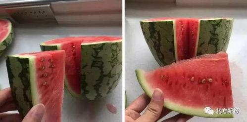 暑假吃的瓜合集,暑假吃瓜合集大盘点