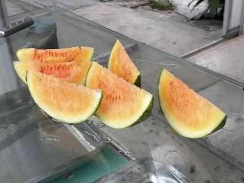 到农村吃瓜视频