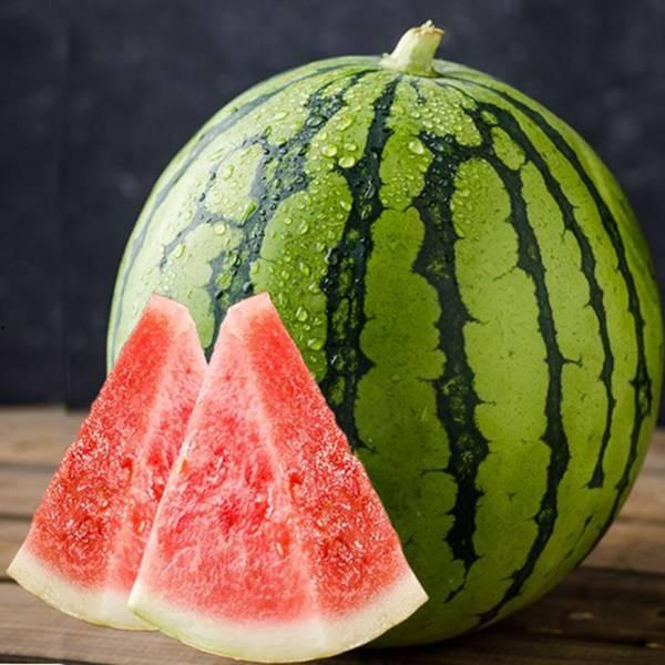 潘姥姥吃麒麟瓜,潘姥姥的麒麟瓜奇遇记