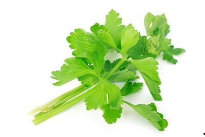 风寒感冒吃白瓜,白瓜助您驱寒养生