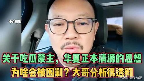 评价吃瓜蒙主,揭秘网络舆论背后的真相与影响