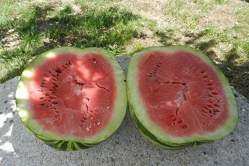 梦见吃绿色的瓜,绿色瓜果的神秘启示