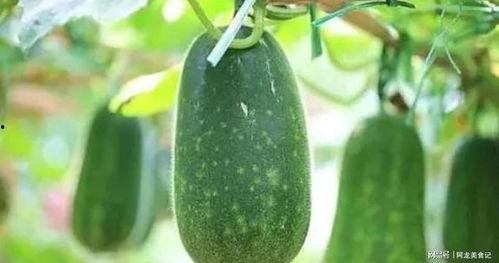 七创社吃瓜,揭秘娱乐圈幕后风云