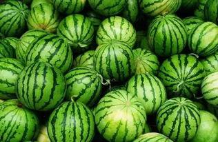 桐乡吃瓜聊天群,邻里间的欢乐时光