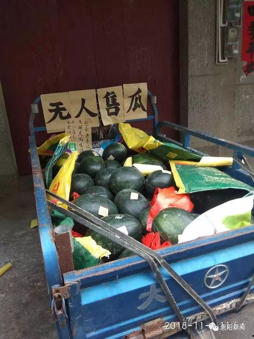 卖楼销售吃瓜,揭秘房产市场的“吃瓜”现象