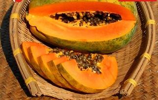 吃瓜29,一场全民热议的娱乐风暴