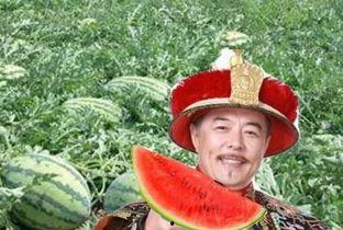 瓜农翻车吃瓜图片,笑料百出吃瓜瞬间