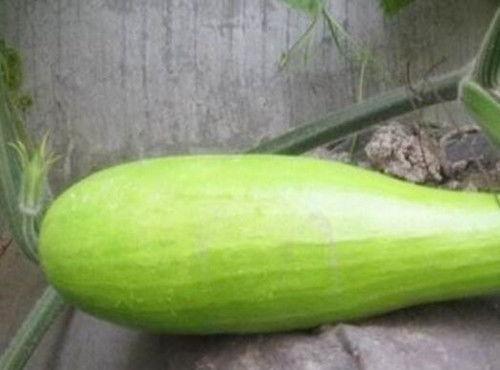 砍瓜 怎么吃