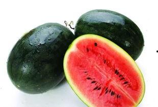 浙大博士专业吃瓜,吃瓜背后的学术奥秘